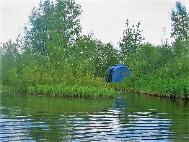 Отдых с палаткой на берегу водоёмов в выходные - это лучшая часть нашей летней жизни