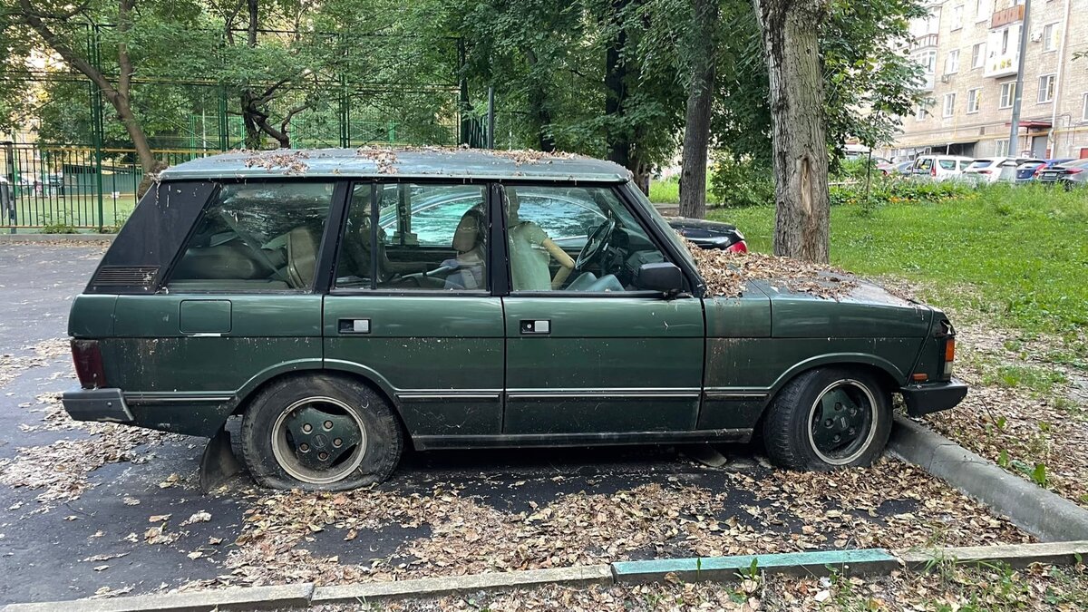 Фото: Илья Кувшинов