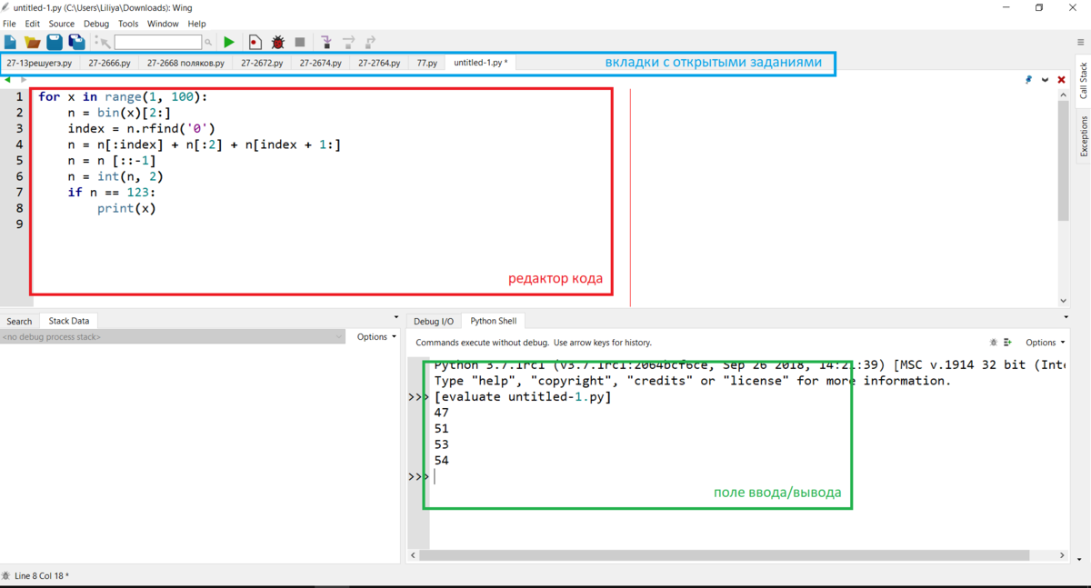 Основное окно программы Wing IDE 101