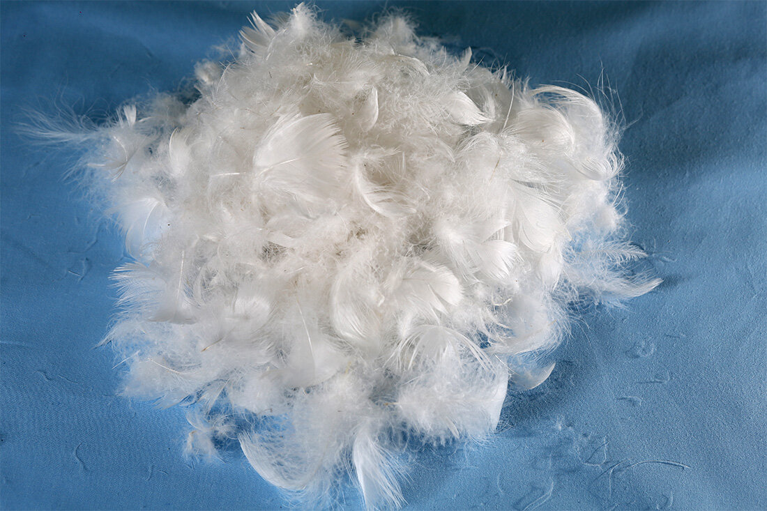 Гусиный пух гарантирует подушкам «Леда» высокий воздухообмен