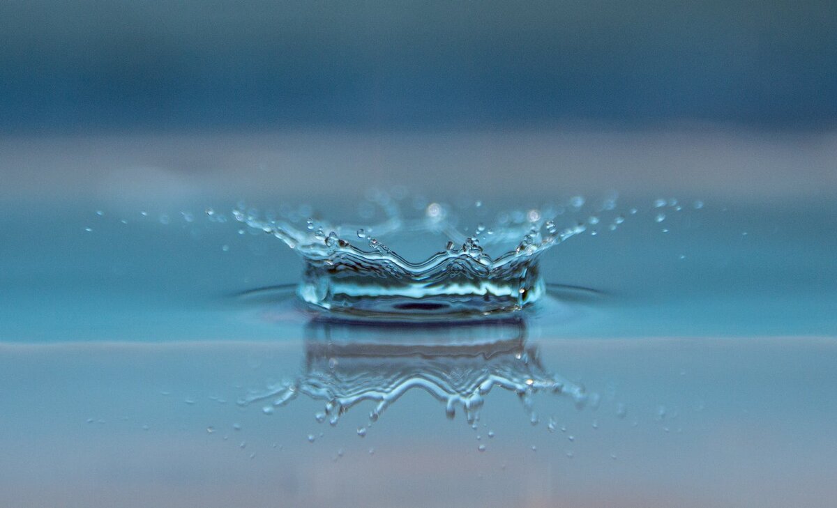 Фото взято из фотостока 