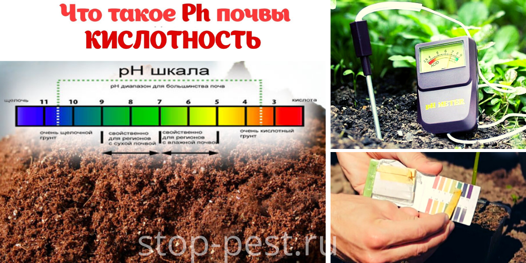 Как проверить рН почвы?