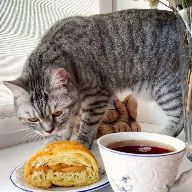 иллюстрация из яндекс картинки.