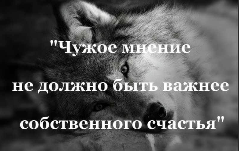 Мнение где лучше. Чужое мнение. Чужое мнение цитаты. Афоризмы про чужое мнение. Цитаты про свое мнение