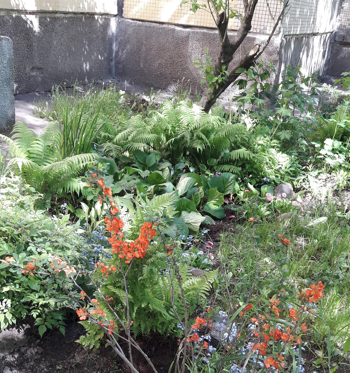 Фото автора от 31мая 2020 года


