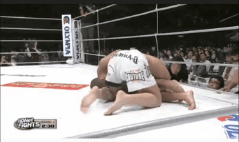 Самой значимой победой Гальвао в ММА пока остается победа над крепким американцем Джоном Алесио (35-17, 24-12 на момент боя), одержанная в апреле 2009 года