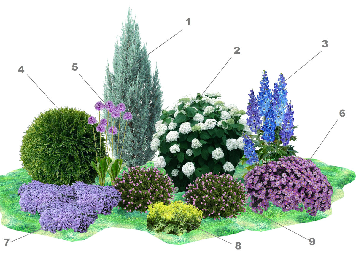 Клумба схемы фото. Готовые клумбы из многолетников. Цветник из многолетников. Цветник с многолетниками. Стильные клумбы из многолетников.