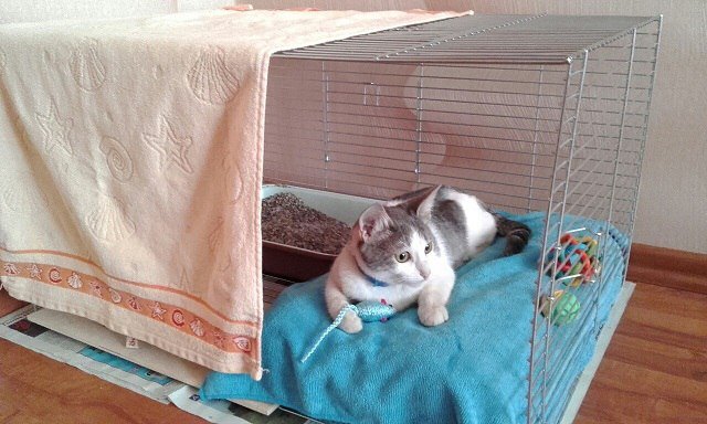 На передержке