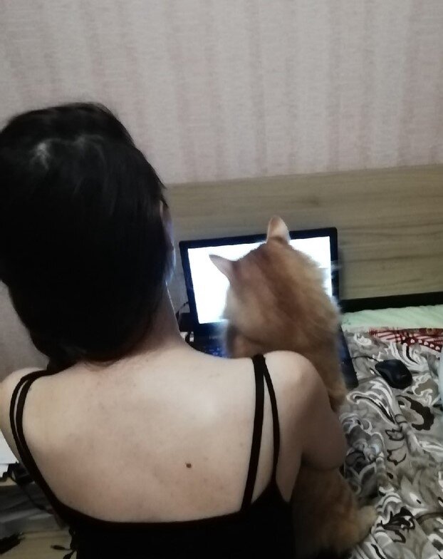 Интернет всех затягивает в свою пучину...