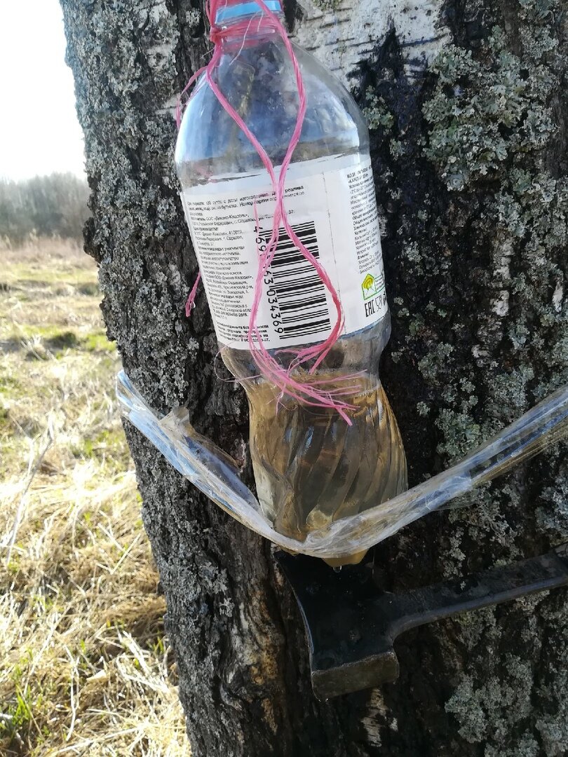 с первым оттаявшим снегом первыми судорогами и желанием найти много всего металлического
Составив список тушенок воды , определившись с местом прыгнули на транспорт с большими рюкзаками и позитивными мыслями
Мы едем на встречу чему то не известному, но ожидаем как всегда найти побольше
Исторически место интересное о нём есть упоминания с 13 века..
Фантазия заработала копья стрелы мушкеты монеты 😀😀😀