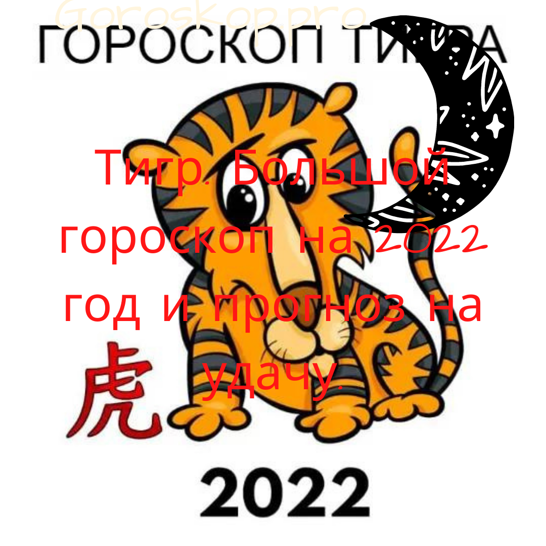 Тигр. Большой гороскоп на 2022 год и прогноз на удачу.