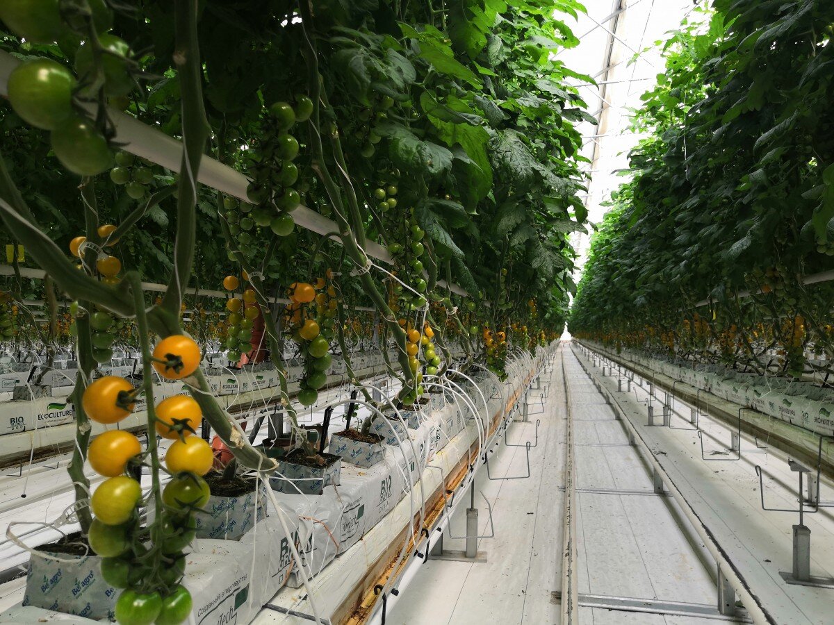   Министерство сельского хозяйства Ставропольского края