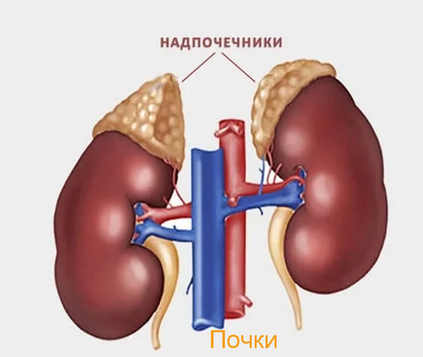 Добавьте описание