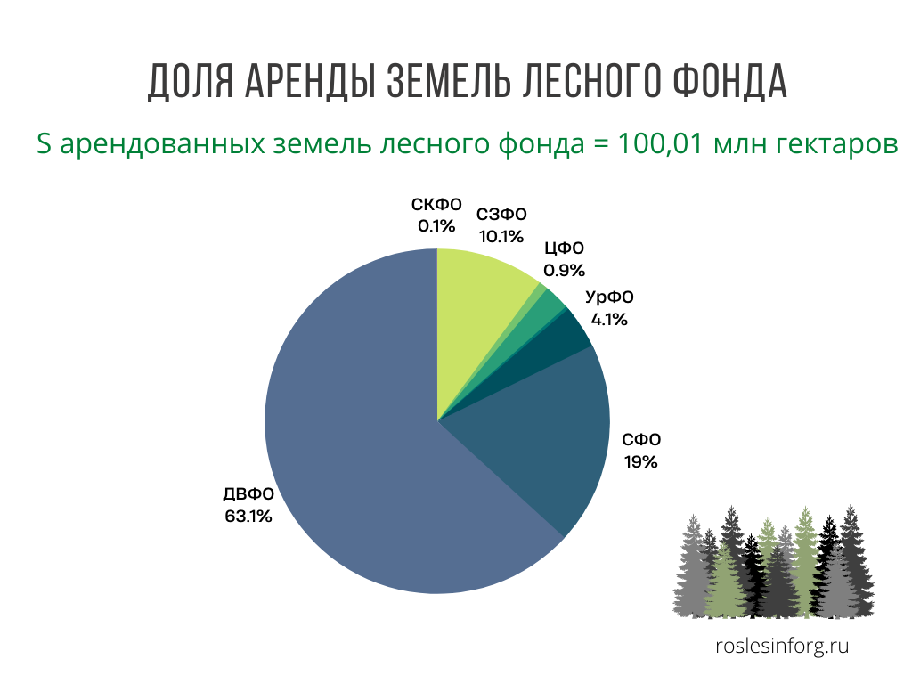 Аренда леса. Как арендовать лесной участок по всем правилам | Рослесинфорг  | Дзен