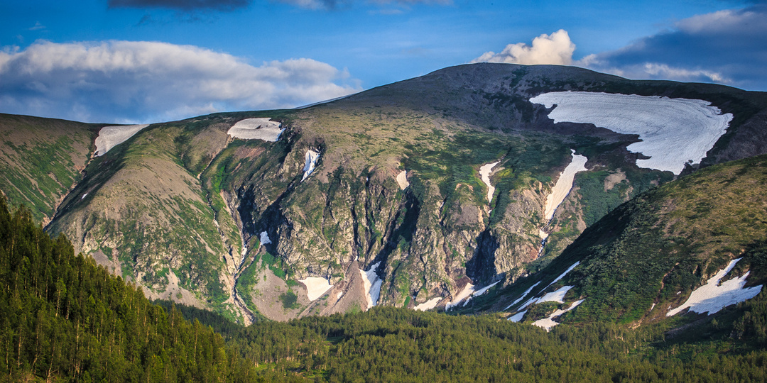 Приисковый летом.