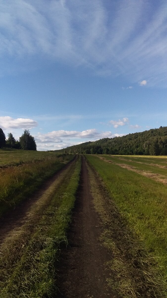 Дорога к водопаду