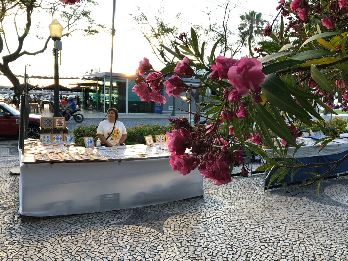 Рядом растут огромные олеандры