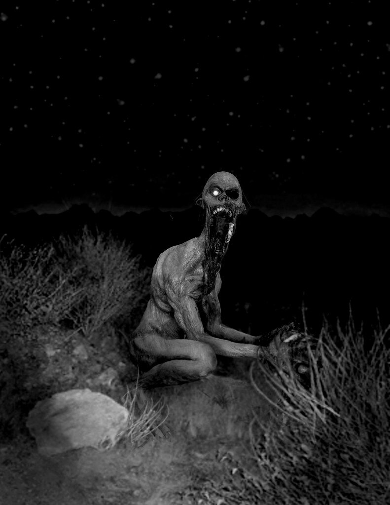 Фотография из интернета. 