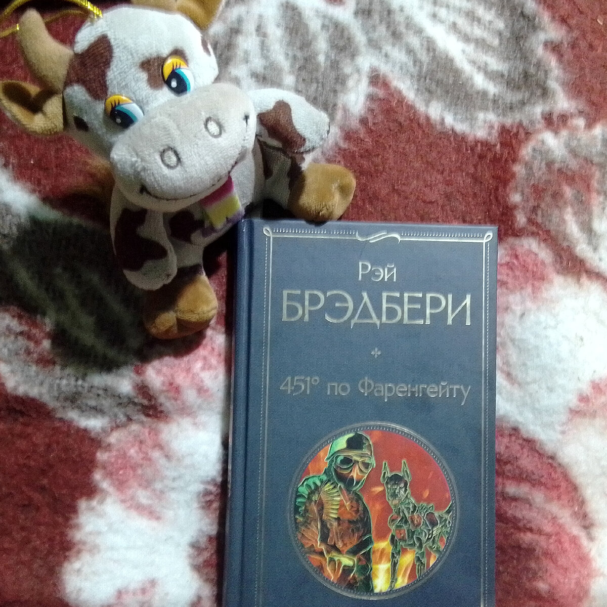 Фото автора.