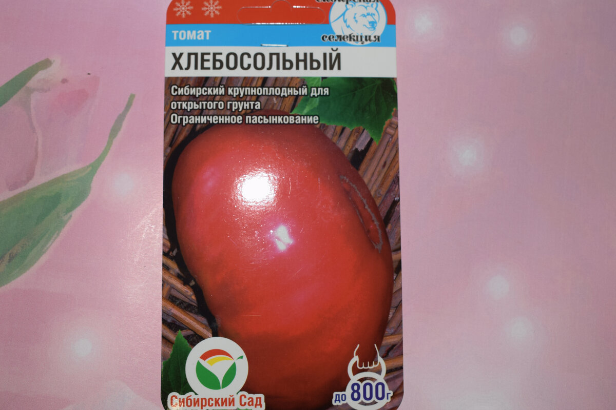 семена томата(фото автора)