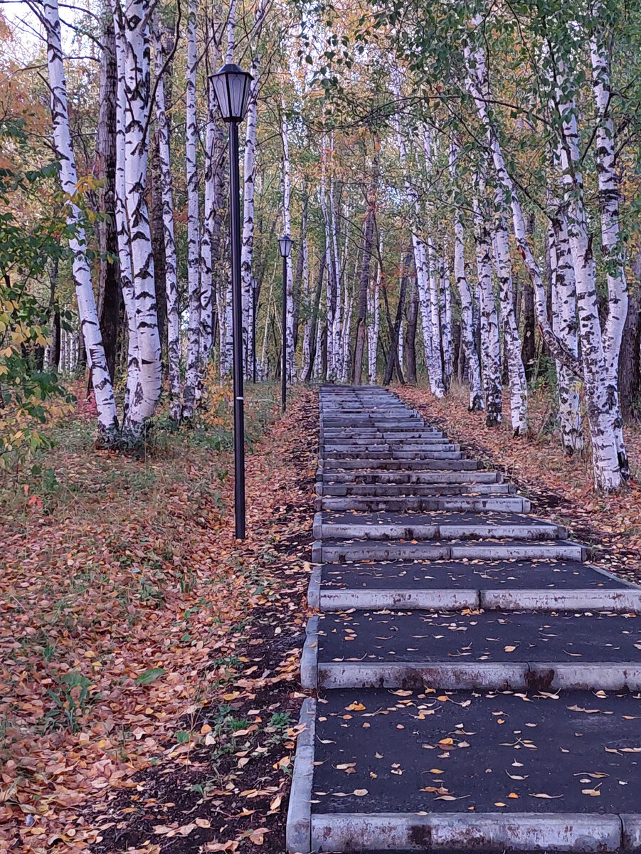 Центральная аллея парка.