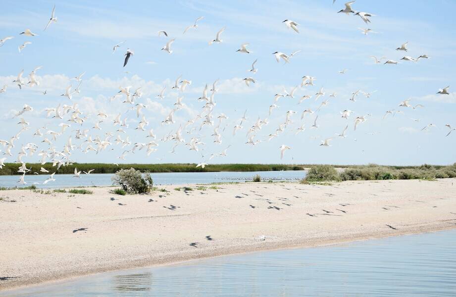    Фото: donzempro.ru
