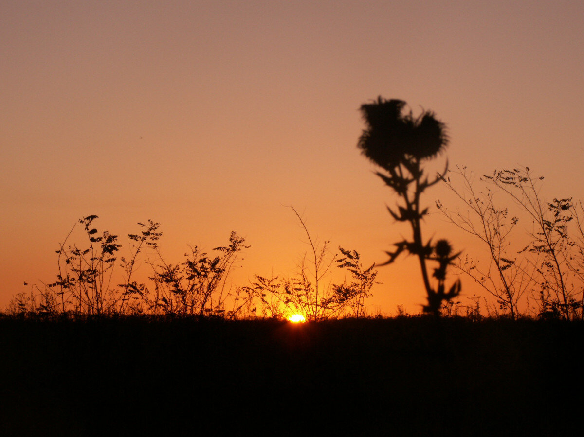   ГТРК "Ставрополье"