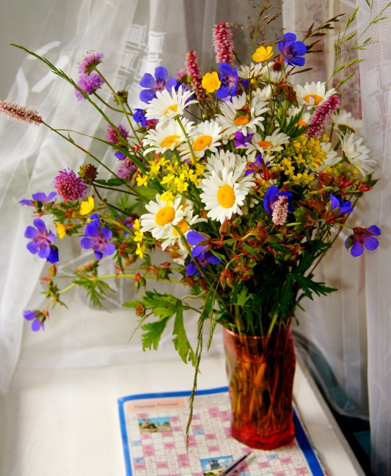 фото из открытых источников