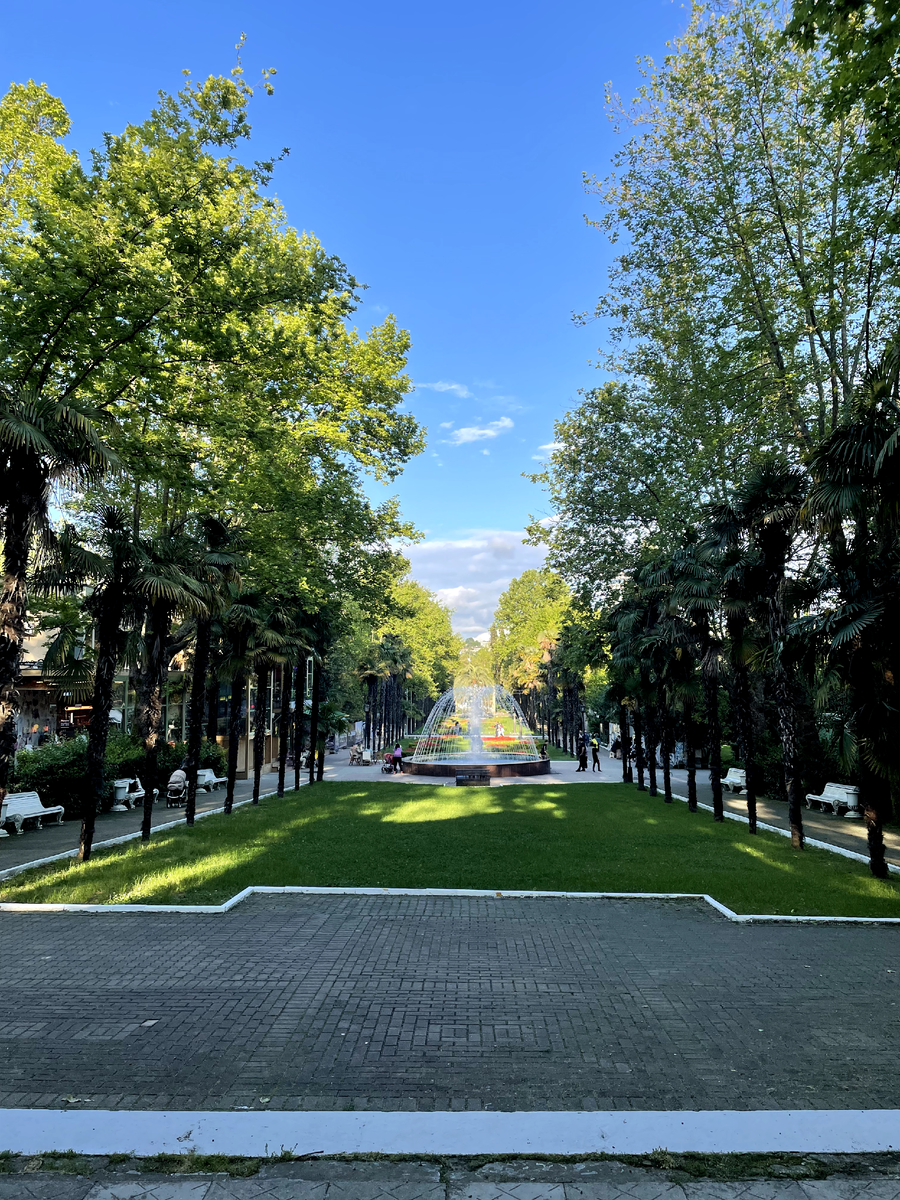 Аллея в парке «Ривьера». Фото из личного архива. 