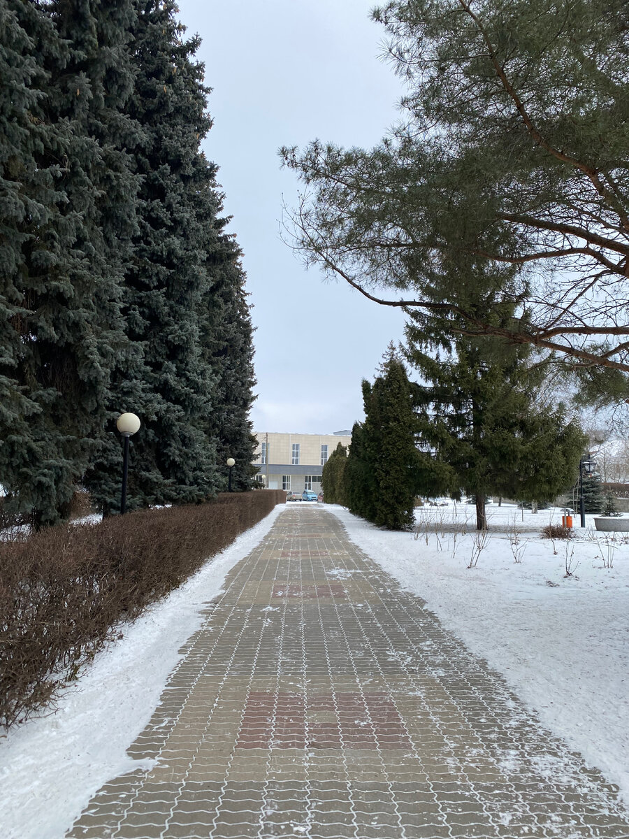 Жизнь как дорога