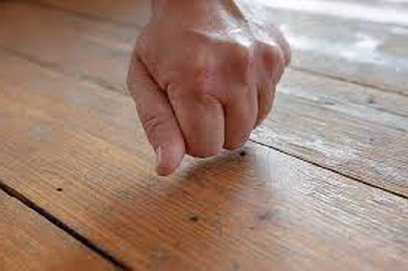 Фото: Яндекс картинки