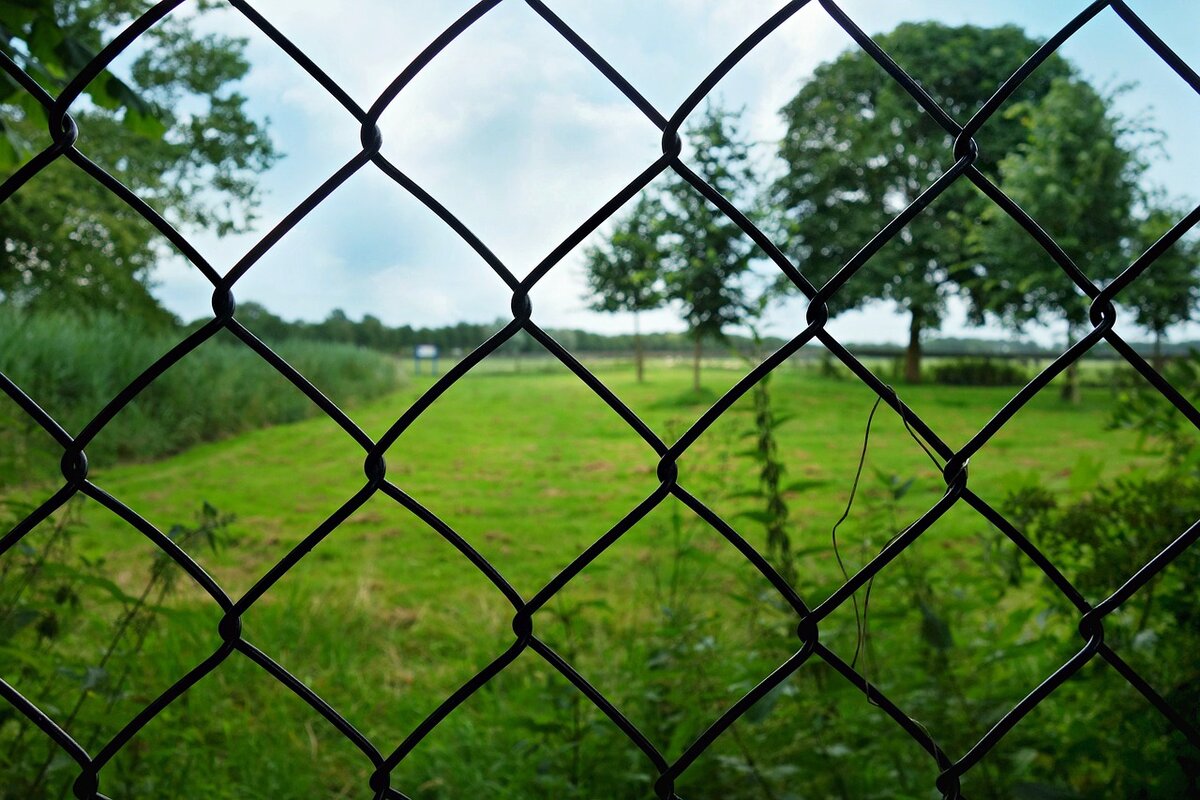 Прячемся от посторонних глаз за красивой оградой из рабицы | Уютный дом в  цветущем саду | Дзен