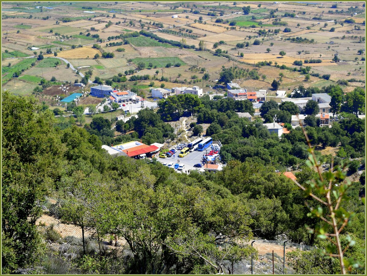 Кадр сделан на максимальном приближении, тяжело дыша и поглощая тонны воды (на улице около +35). 