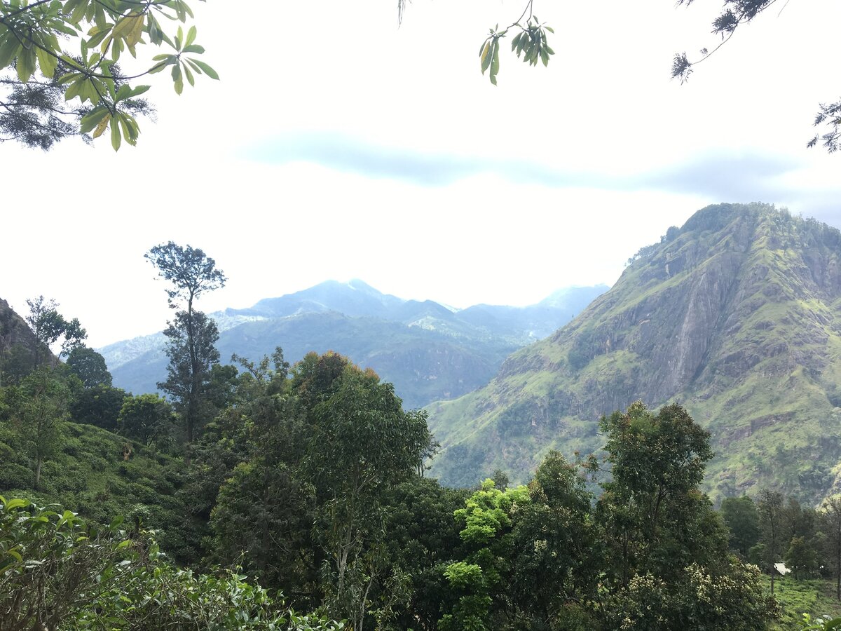 Гора Элла Рок ( Подъём) 