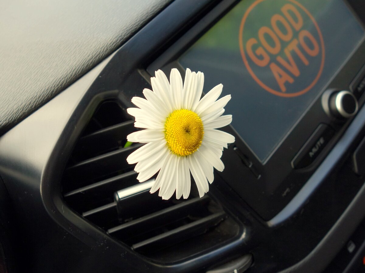 Утренняя свежесть в салоне вашего автомобиля.