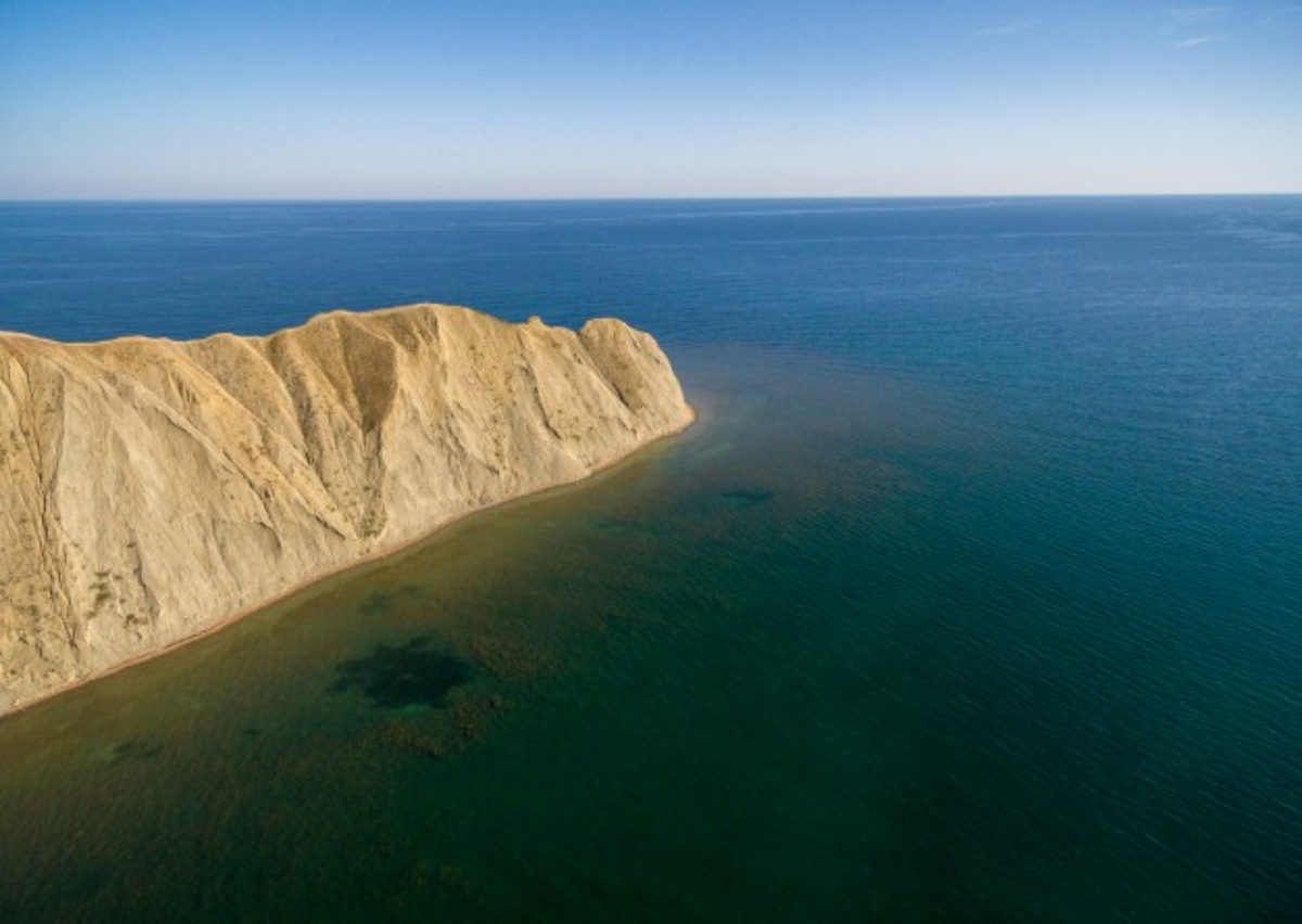 Источник: pexels.com