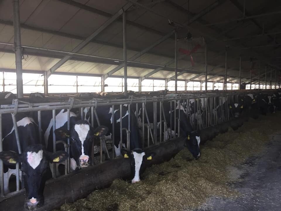 Открытые источники