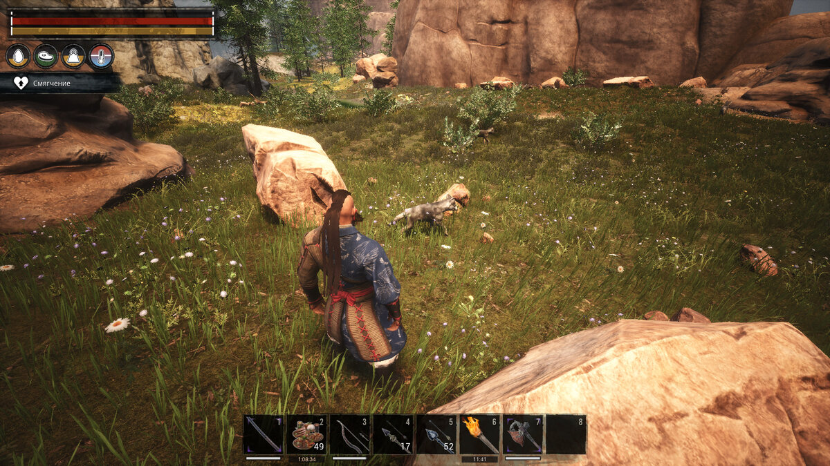 Обычные волчата