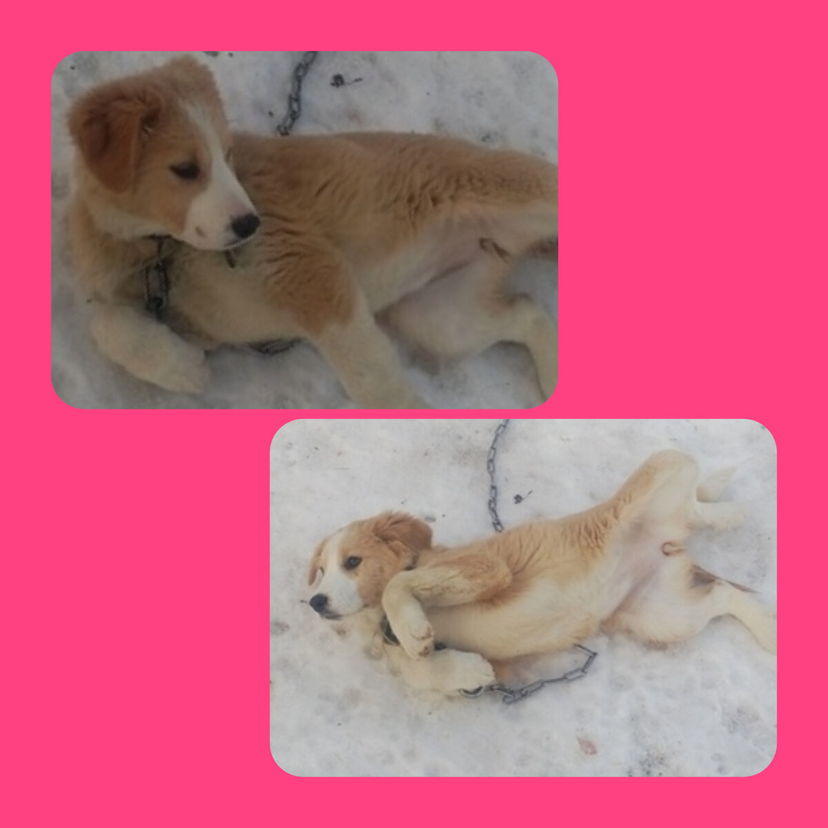 Такую ляльку мы пристроили! 