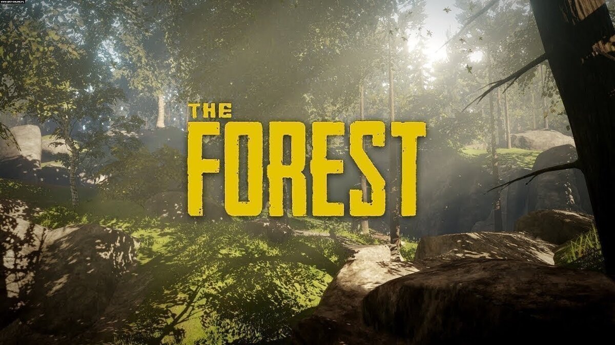 The Forest -Компьютерная игра в жанре survival horror с открытым миром и видом от первого лица, разработанная и изданная канадской компанией Endnight Games.Альфа была выпущена 30 мая 2014 года,а полная версия игры была выпущена в апреле 2018 году.