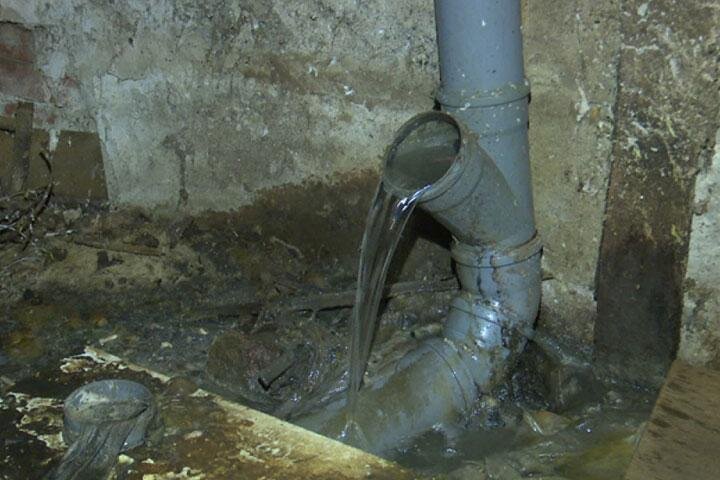 Фото: vestivrn.ru 