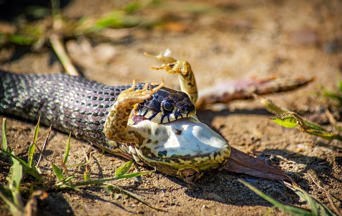 Когда проснулся после дневного сна и не можешь понять какой сейчас век. 