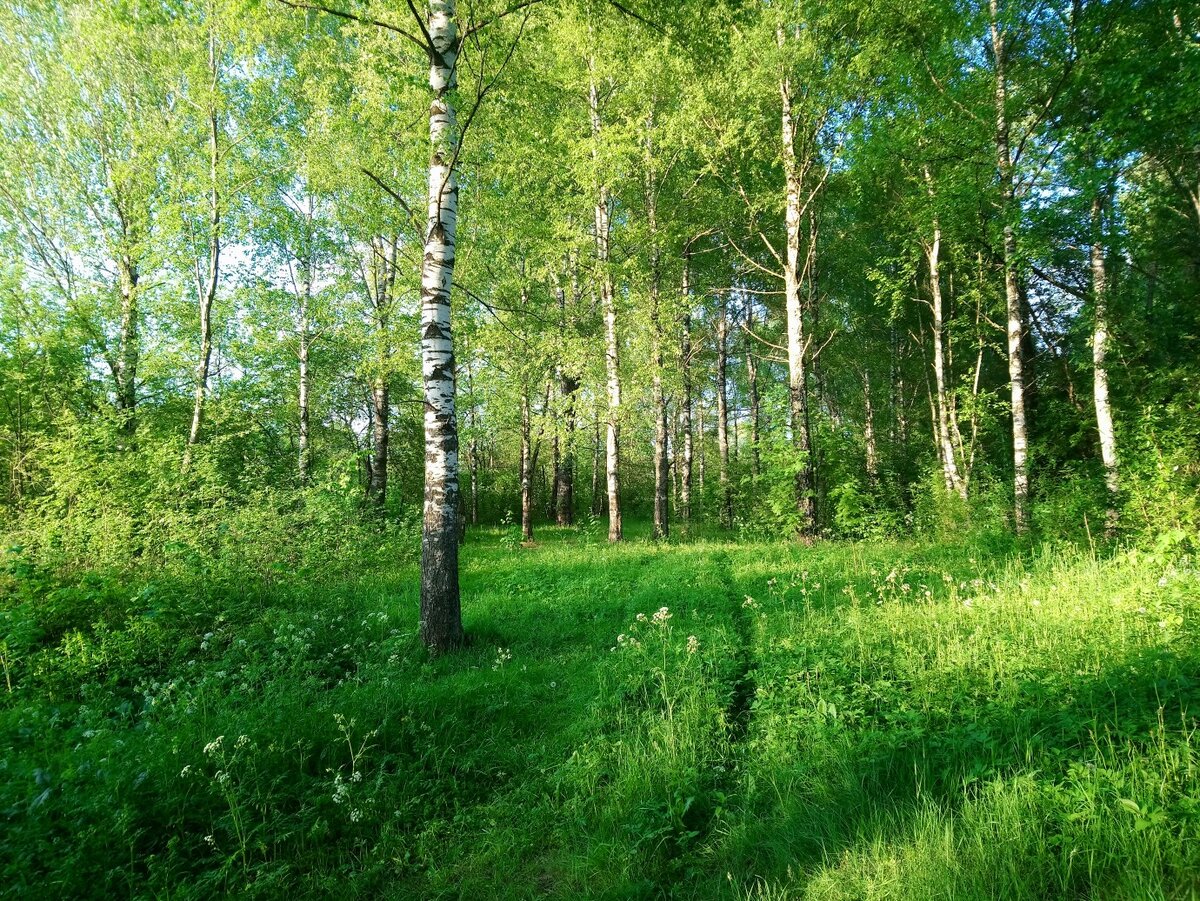 Моё родное Селижарово, Тверская область | Елена Шемелина. Всë обо всëм) |  Дзен