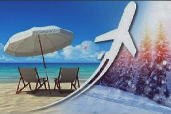 Источник: Google.com 