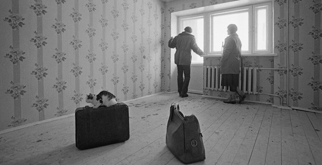 В нашей квартире не было обоев, только крашеные голубой краской стены, а под потолком маленькие белые кораблики. После однокомнатной квартиры мне все казалось просто шикарным!