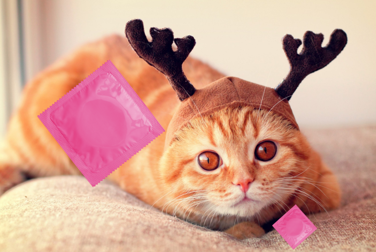 #кот не спит, будьте осторожны!)