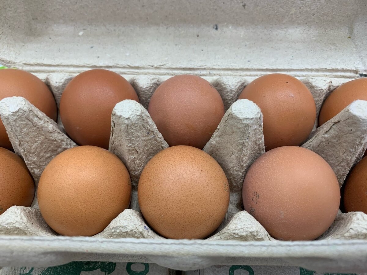 Фото сделано автором (куриные яйца)