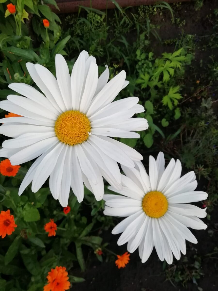 Фото из архива автора.