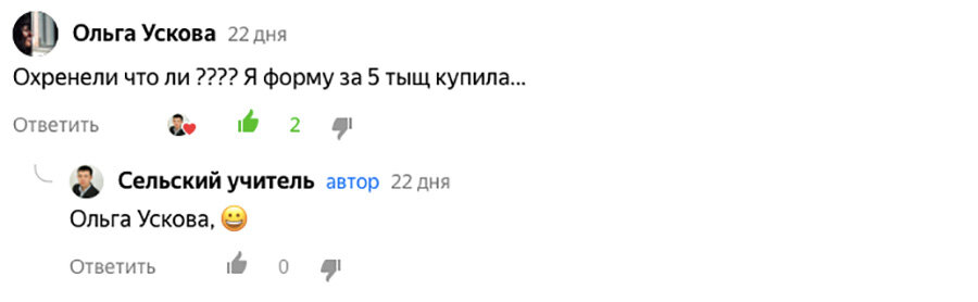 Комментарий читательницы. Источник: канал "Сельский учитель"