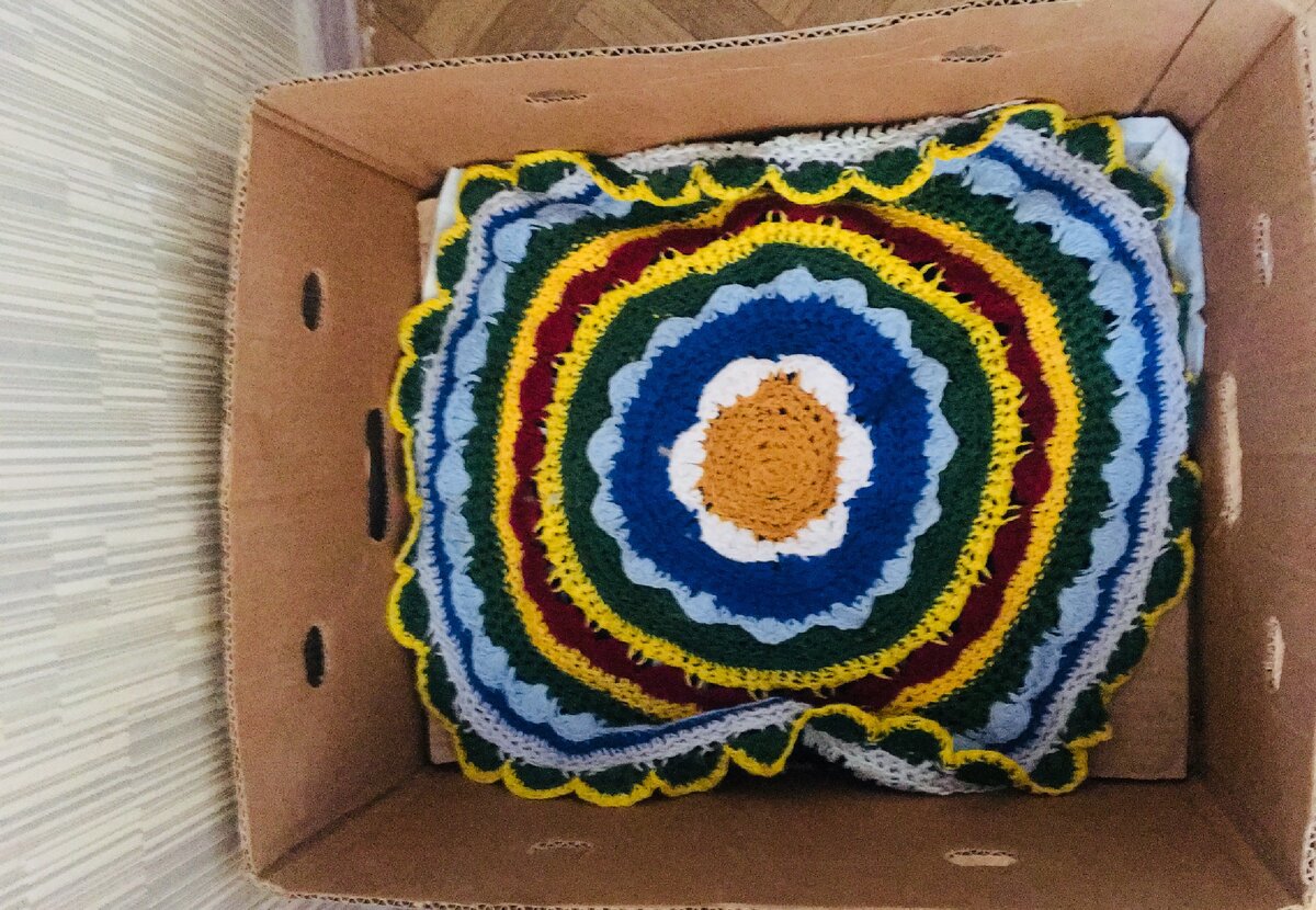 Вот в этой коробке они жили вместе с Бусей